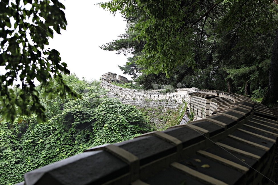 남한산성,성,성곽,숲,숲길,길,둘레길,벽,담,돌담,풍경,여름