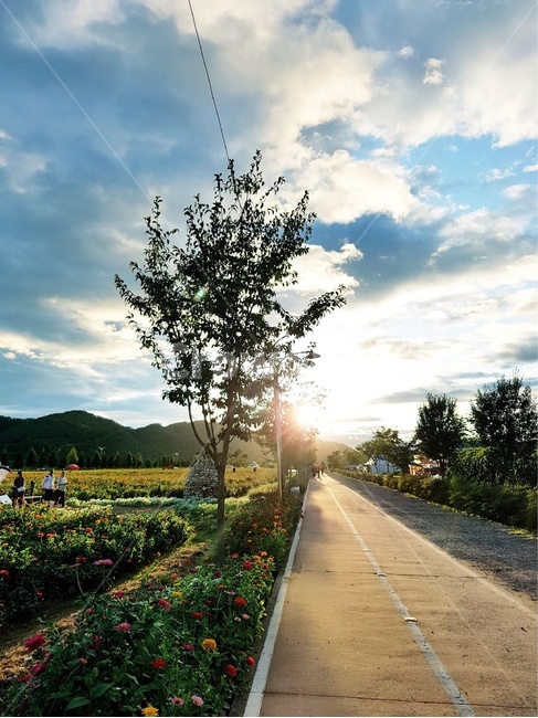 길,하늘,꽃,햇빛,산책,자연,풍경,nature,landscape,light,빛,flare,플레어,asphalt,아스팔트,road,도로