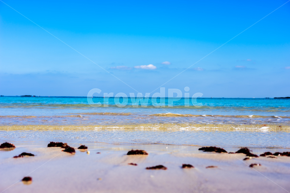해변,여름,바다,바닷가,파도,해변,바다,beach,sea