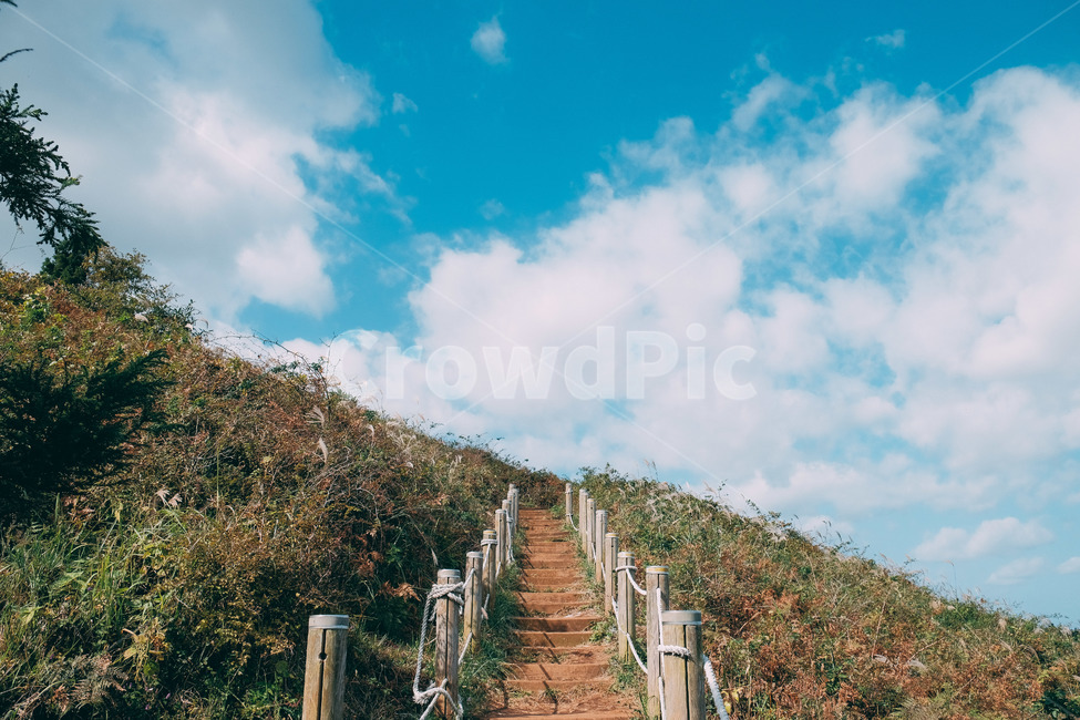제주도,오름,새별오름,길,감성사진,필름사진,하늘