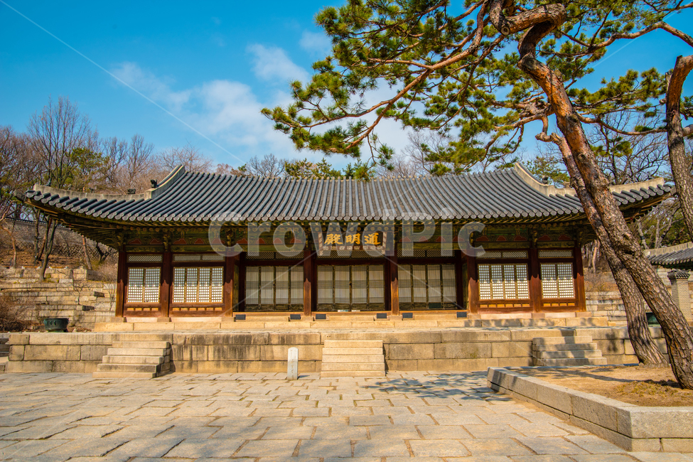 창경궁,궁궐,서울,세계문화유산,건물,한국전통,한국문화,korean traditional,korean culture,랜드마크,landmark,tourist attraction,한국랜드마크,한국관광지,한국명소,korea landmark,korea tourist attraction,건축물,건물외관,exterior,building,structure,architecture,construction