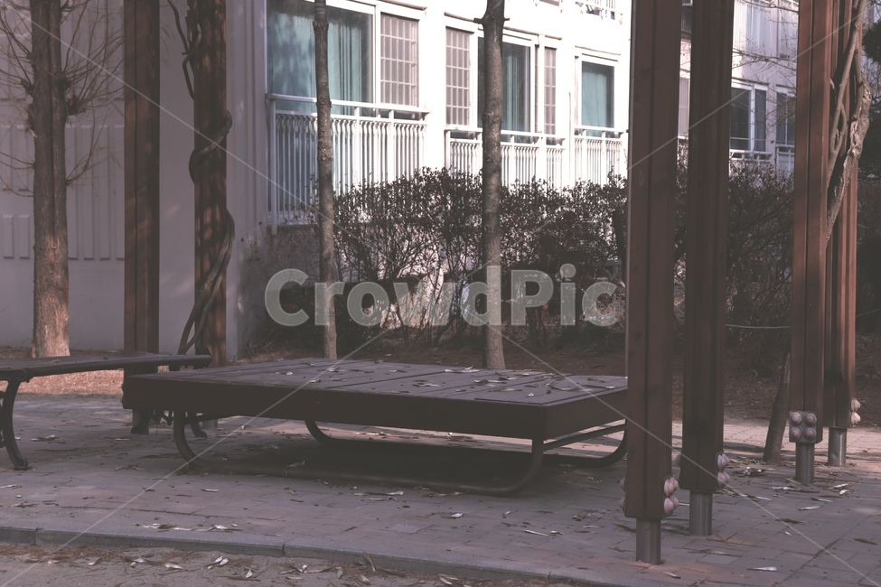 가을,겨울,계절,느낌,나무,가을,계절,fall,autumn,season,handrail,난간,banister,furniture,가구,bench,벤치
