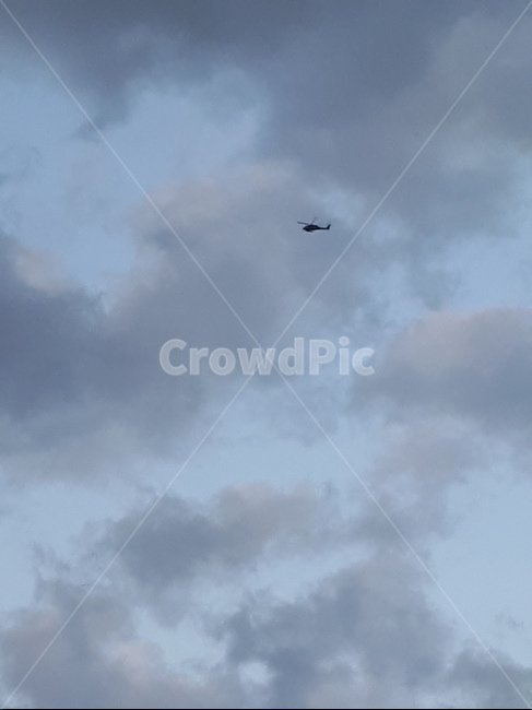 flying,하늘,구름,헬리콥터,새,자연,풍경,nature,landscape,animal,동물,bird,나는