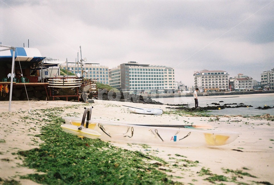 하늘,감성,필름,필름카메라,아날로그,film,filmcamera,analog,바다,해변,색감,여행,제주도,해변,바다,beach,sea