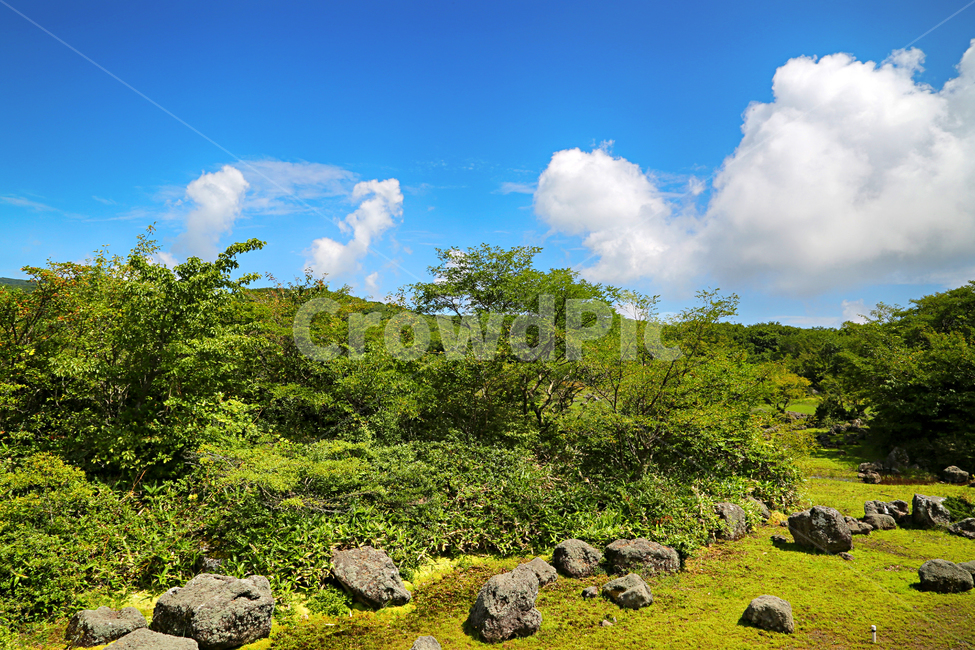 제주도,한라산,1100고지,한라산풍경,1100고지풍경,산,nature,자연,옥외,outdoors,자연,풍경,nature,landscape
