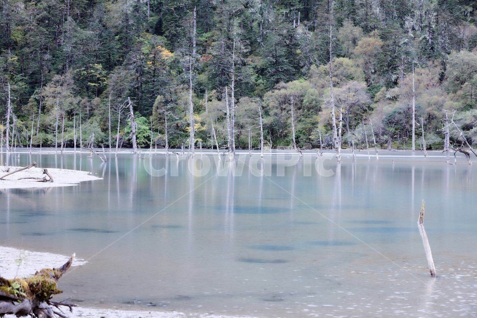 자연,nature,호수,풍경,예술