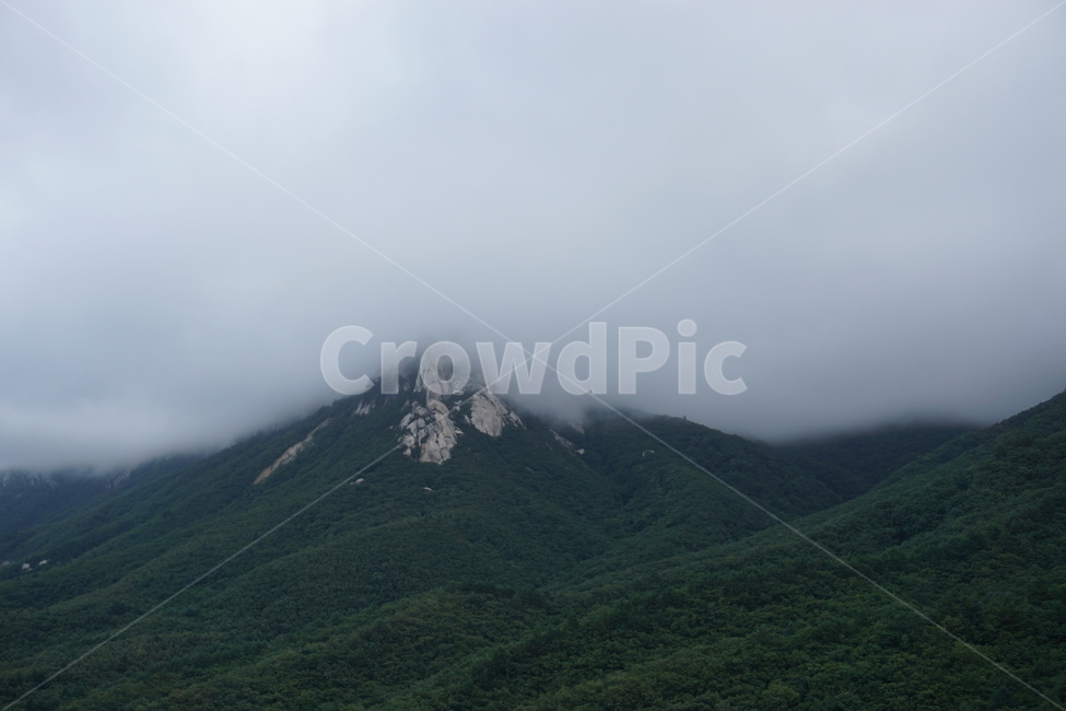 구름,운무,산,강원도,미시령,자연,풍경,배경,안개,자연,풍경,nature,landscape,slope,경사,outdoors,옥외,mountain,mountain range,산맥,peak,피크