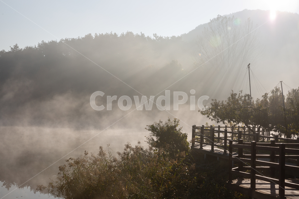 자연,풍경,가을,아침,안개,반곡지,몽환적,자연,풍경,nature,landscape,한국자연풍경,한국자연경관,korea nature landscape,weather,날씨,outdoors,옥외