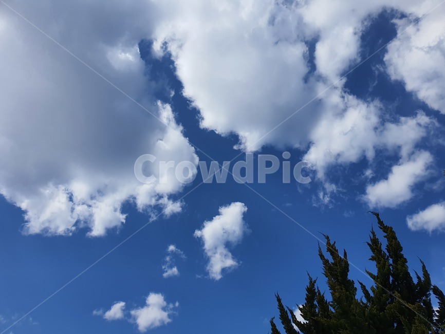 자연,nature,하늘,파란하늘,푸른하늘,sky,구름