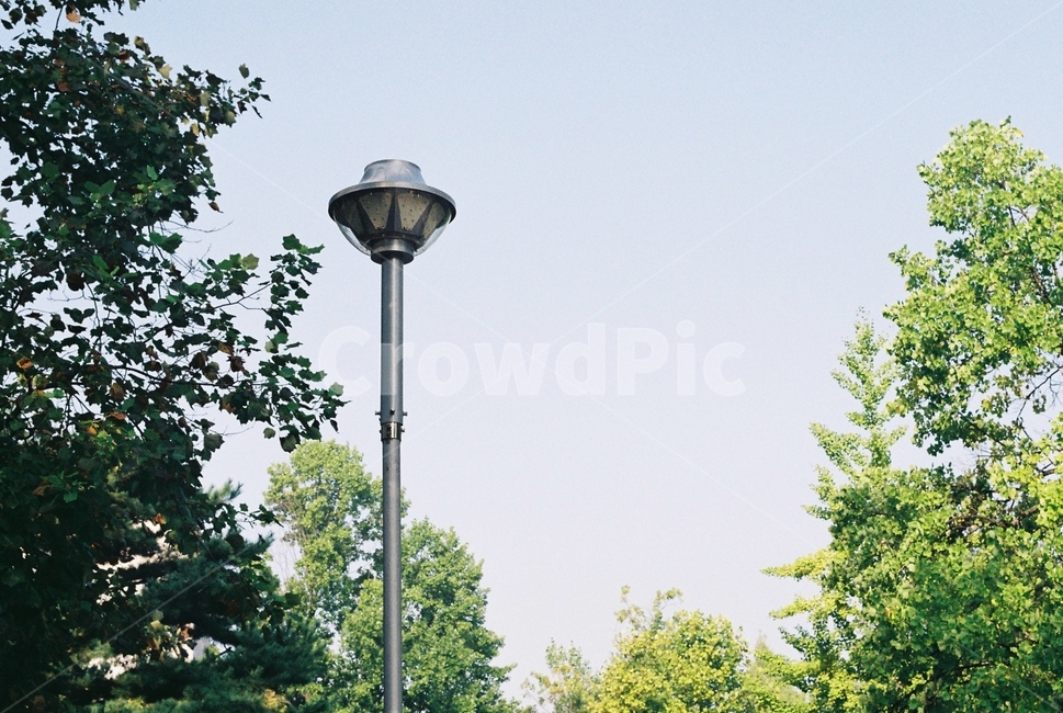 램프포스트,lamppost,나무,필름사진,film