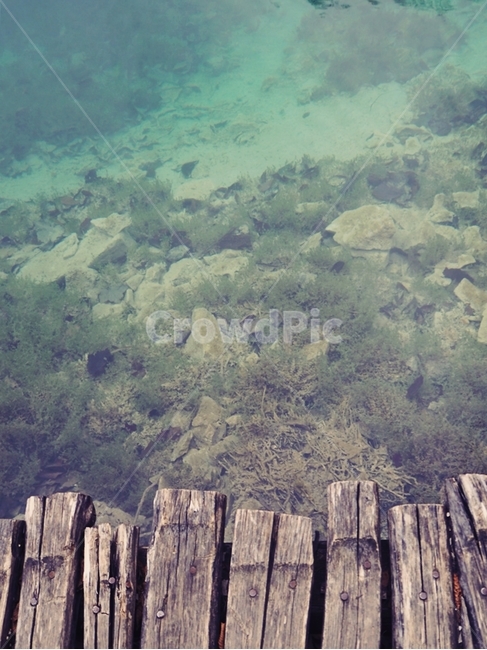 outdoors,옥외,landscape,경치,nature,자연,scenery,풍경,바다