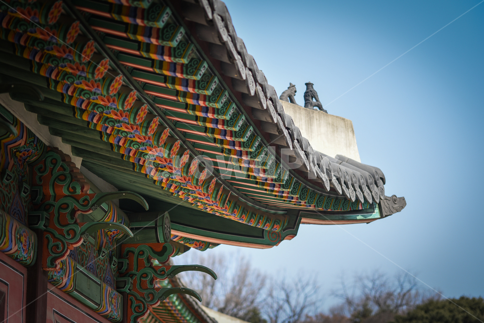 고궁,경복궁,지붕,단청,궁궐,한국전통,한국문화,korean traditional,korean culture,건축물,건물외관,exterior,building,structure,architecture,construction