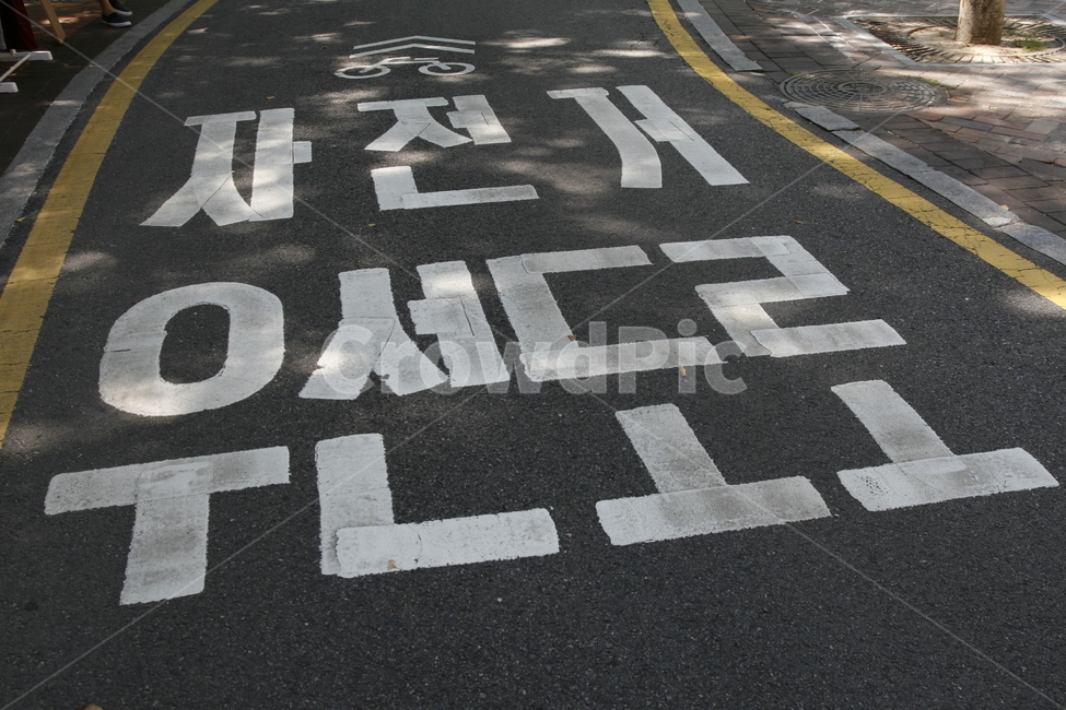 자전거,우선도로,노면표시,교통,표시,교통,교통수단,traffic,transportation