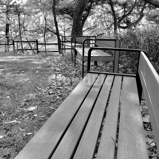 벤치,가을,낙엽,쓸쓸함,고독,가구,공원,흑백,모노톤,monochrome,black and white