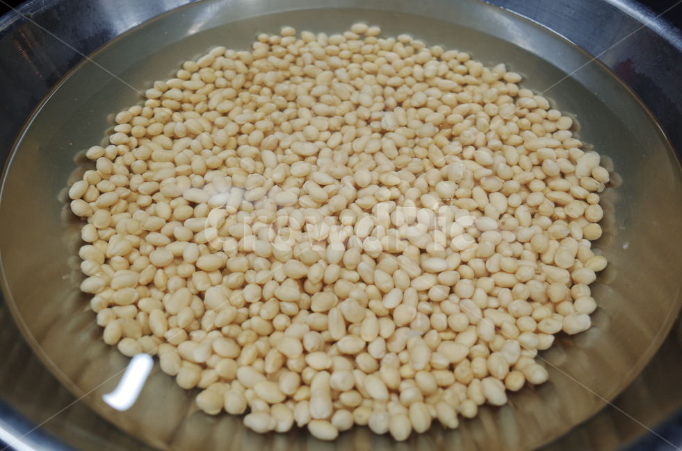 bean,콩,vegetable,food,음식,왕태콩,콩자루,불린콩,불리기