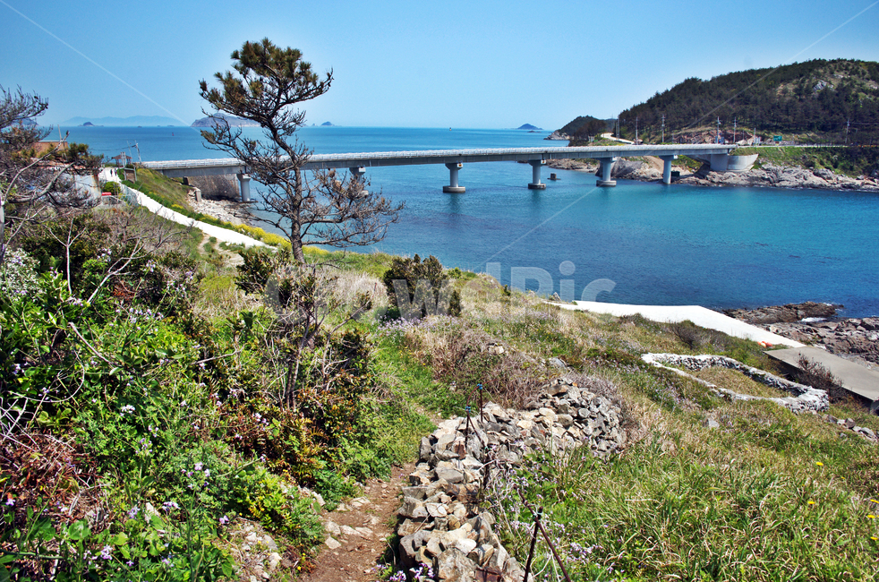 추자대교,추자도,올레181코스,올레코스,제주,도로,상추자도,자연,풍경,nature,landscape,제주도,jeju,jeju island