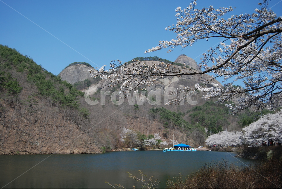 나무,봄,산,하늘,자연,봄,계절,spring,season,자연,풍경,nature,landscape,한국자연풍경,한국자연경관,korea nature landscape,outdoors,옥외,plant,식물