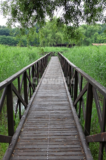안산호수공원,산책로,길,공원,자연