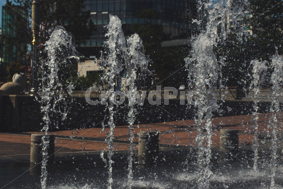 물줄기,분수대,분수,물,순간,느낌,감성,fountain,water,여름,계절,summer,season