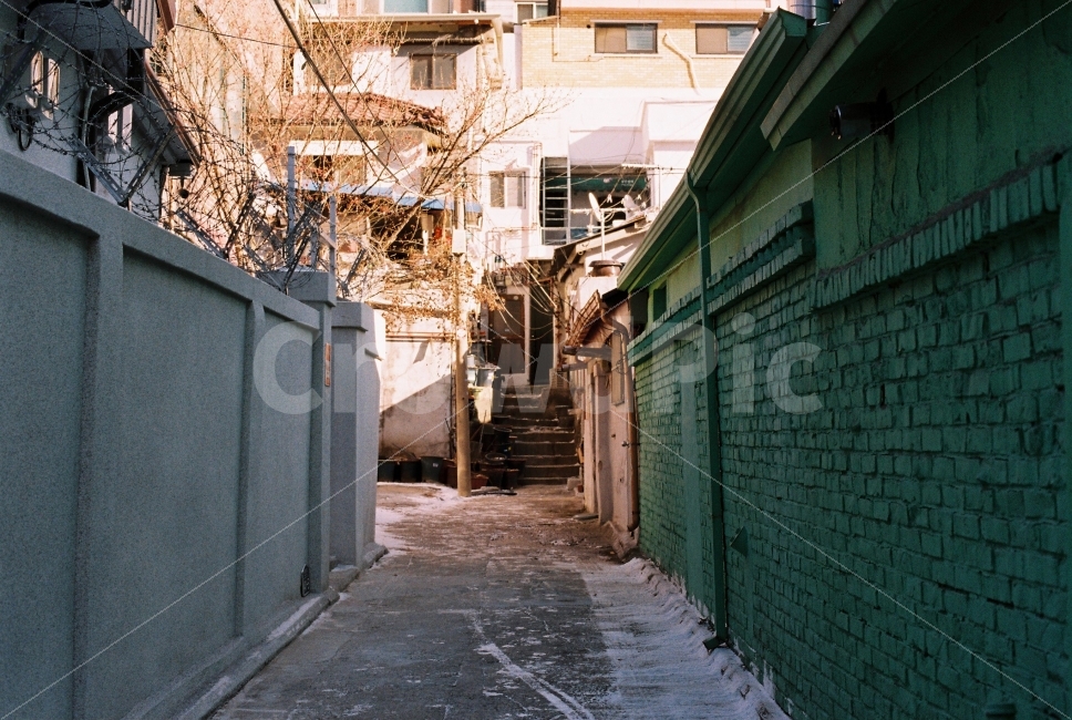 골목,감성,감성사진,빛,film,도시,풍경,city,landscape,골목길,alley,감성,sensible,feeling,road,도로,street,거리,building,건물,town,시티,urban,어반,flagstone,판석