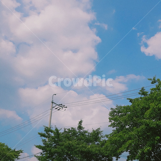 하늘,구름,나무,풍경,sky