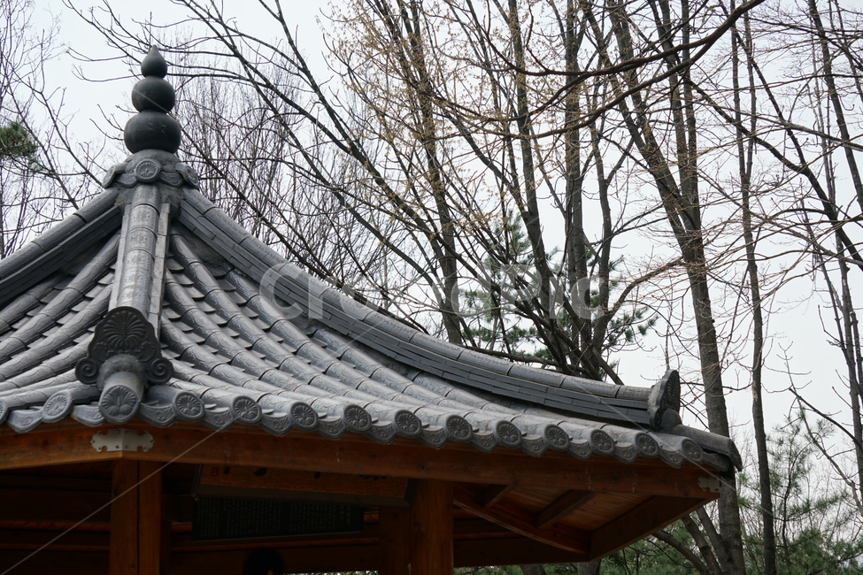 전통,지붕,한옥,기와,기와지붕,한국전통,한국문화,korean traditional,korean culture,건축물,건물외관,exterior,building,structure,architecture,construction