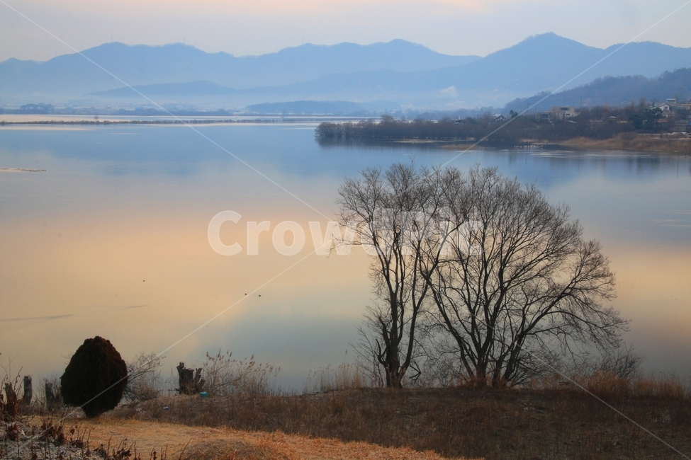 탑정호,호수,아침,오리,물가,자연,풍경,nature,landscape,한국자연풍경,한국자연경관,korea nature landscape,outdoors,옥외