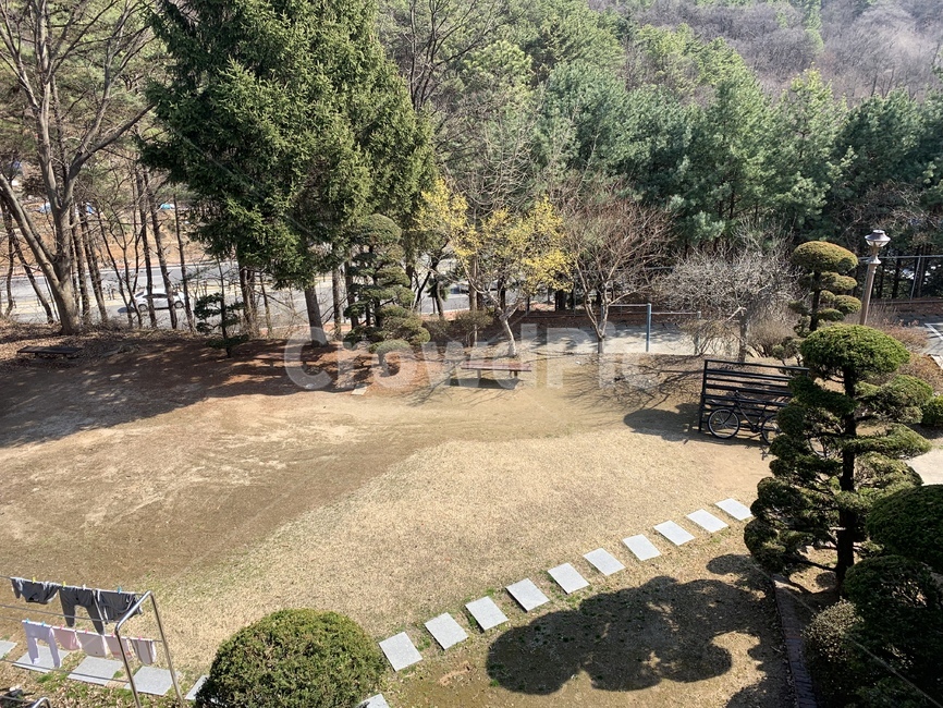 마당,쉼터,자연,풍경,자전거,자연,풍경,nature,landscape,tree,나무,plant,식물,flagstone,판석