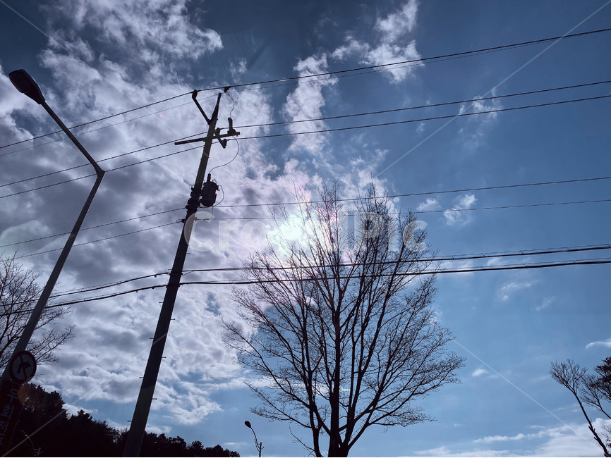 나무사이,햇살,해,구름,하늘,나무,케이블,전력선,cable,powerlines