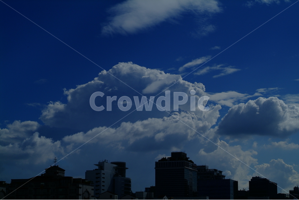 구름,하늘,sky,cloud,하늘풍경,맑음,자연,풍경,하늘색,파란색,푸른색,도시,풍경,city,landscape,nature,weather,날씨,cumulus,적운,outdoors,옥외