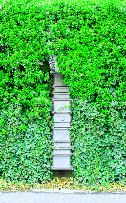 봄,초록,풀,분위기,아름다움,자연,풍경,nature,landscape,plant,식물