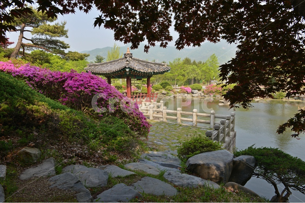 충남,대전,현충원,국립현충원,현충지,pond,못,garden,정원,연못,반영,현충지봄,철쭉,철쭉꽃,봄,계절,경치,경관,풍경,outdoors,옥외,nature,자연,water,물,plant,식물,tree,나무,정자,쉼터
