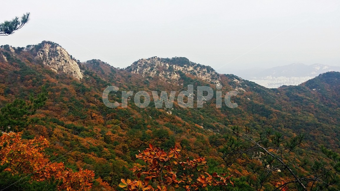 가을,배경,풍경,산,낙엽,가을,계절,fall,autumn,season,자연,풍경,nature,landscape,outdoors,옥외