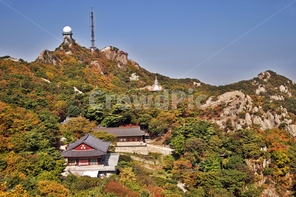 연주암,불교사찰,관악산,과천,사찰,가을,계절