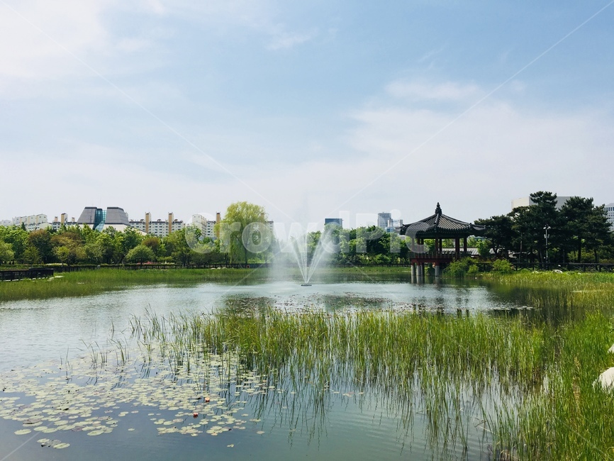 water,물,nature,자연,outdoors,옥외,fountain,분수,여름,summer,하늘,수목원,공원,park,arboretum