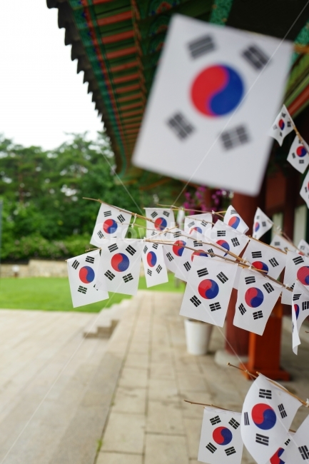 태극기,대한민국,우리나라,태극기나무,한국전통,대한독립,한국전통,한국문화,korean traditional,korean culture