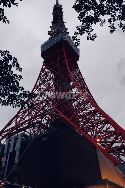 건축물,건물,탑,뾰족한탑,tower,도쿄타워,landmark,랜드마크,일본,일본랜드마크,japan,도쿄,tokyo,랜드마크,landmark,tourist attraction,세계랜드마크,해외랜드마크,외국랜드마크,world landmark,world tourist attraction,architecture,building
