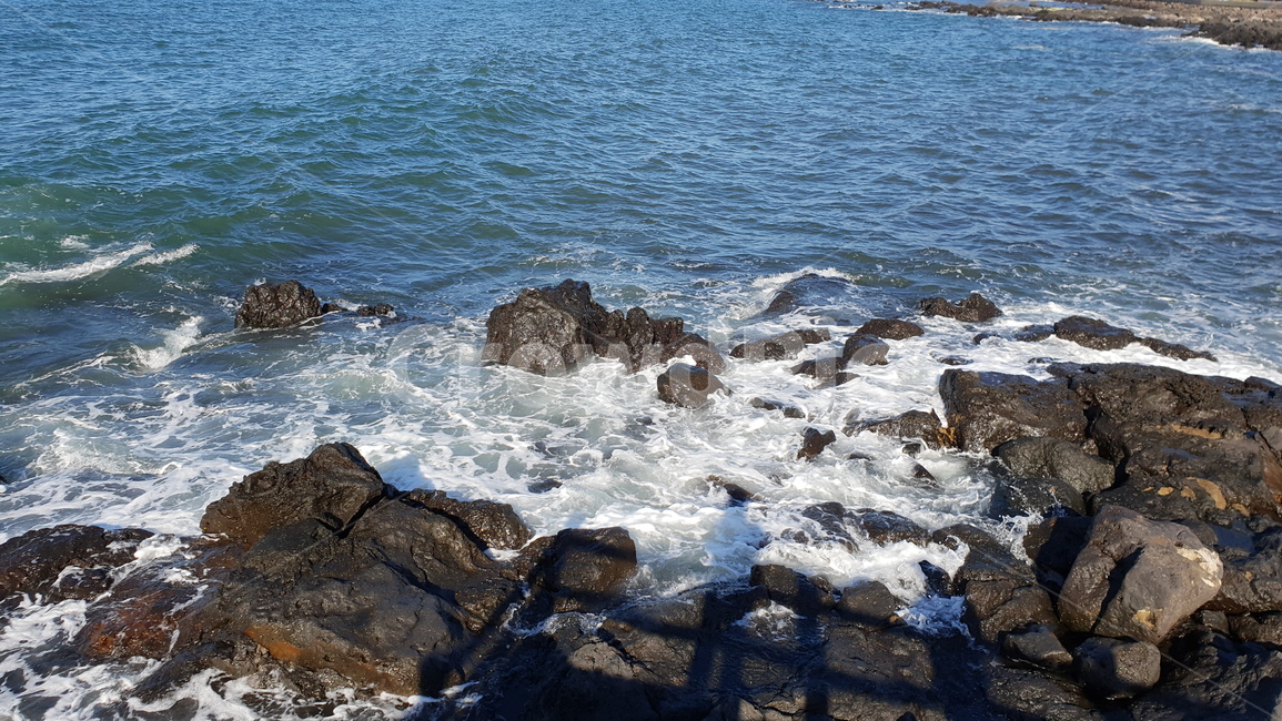 제주도,바람,물보라,바닷바람,파도,바다,여름,색감,거품,해변,물,물결,색,감성,자연,풍경