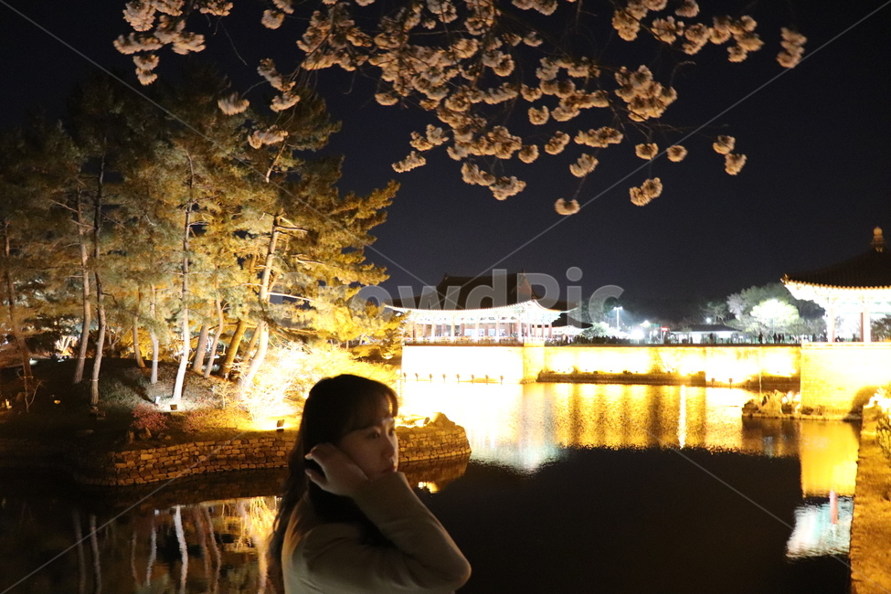 야경,경주야경,야간인물,야경인물,풍경,옆모습,여자옆모습,봄,계절,spring,season,야경,밤,풍경,nightscape,night,landscape,한국전통,한국문화,korean traditional,korean culture,랜드마크,landmark,tourist attraction,한국랜드마크,한국관광지,한국명소,korea landmark,korea tourist attraction,architecture,건축물,building,건물,worship,예배,temple,신전