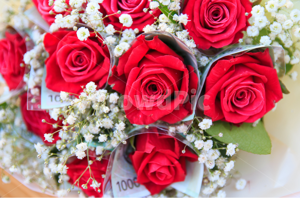 장미,장미꽃,꽃다발,돈다발,선물,기념일,생일,축하,안개꽃,붉은,강렬한,빨간색,붉은장미,특별한,꽃,식물,이벤트,돈,지폐,만원,식물,자연,plants,nature,꽃,flower,기념일,축하,anniversary,congratulation,celebrate,celebration