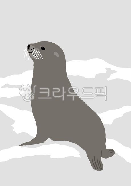 물개,물개일러스트,바다사자,바다사자일러스트,물범,물범일러스트,물개그림,포유류,동물,동물일러스트,겨울,추위,눈,야생동물,설원,북극,남극,일러스트,그래픽,디자인,illustration,draw,art,design,graphic,animal,winter,northpole,snow,seal,sealillustration,wildanimals,psd