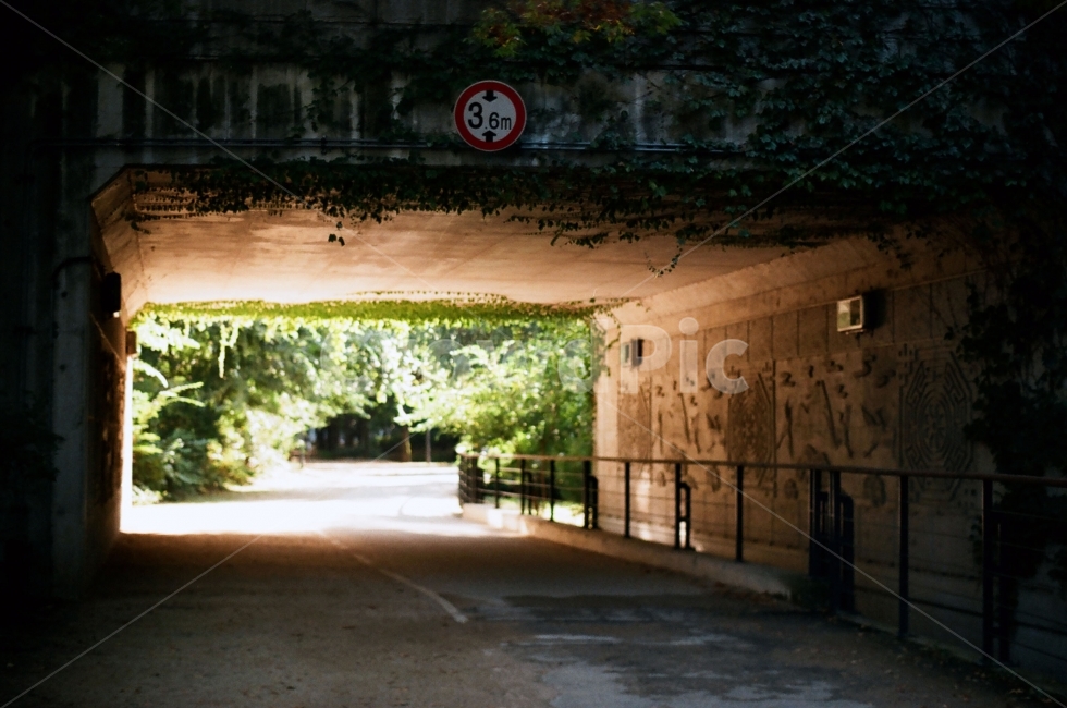 서울숲,터널,다리,통로,사이로,빛,숲,공원,필름,교통,교통수단,traffic,transportation,outdoors,옥외,garden,정원,porch,현관