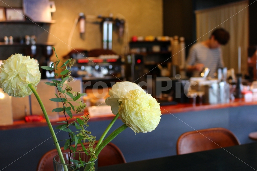 커피,카페,스페셜티,로스터리,인테리어,맛집,coffee,cafe,specialty,roastery,식물,자연,plants,nature,인테리어,실내디자인,interior design,커피,카페,coffee,cafe,꽃,flower