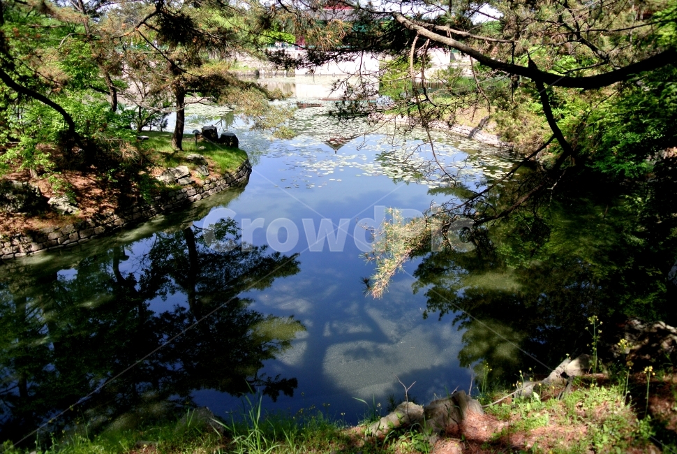 경주,동궁과월지,자연사진,나무,연못,자연,풍경,nature,landscape,한국자연풍경,한국자연경관,korea nature landscape,한국전통,한국문화,korean traditional,korean culture,랜드마크,landmark,tourist attraction,한국랜드마크,한국관광지,한국명소,korea landmark,korea tourist attraction,land,땅,outdoors,옥외,water,물