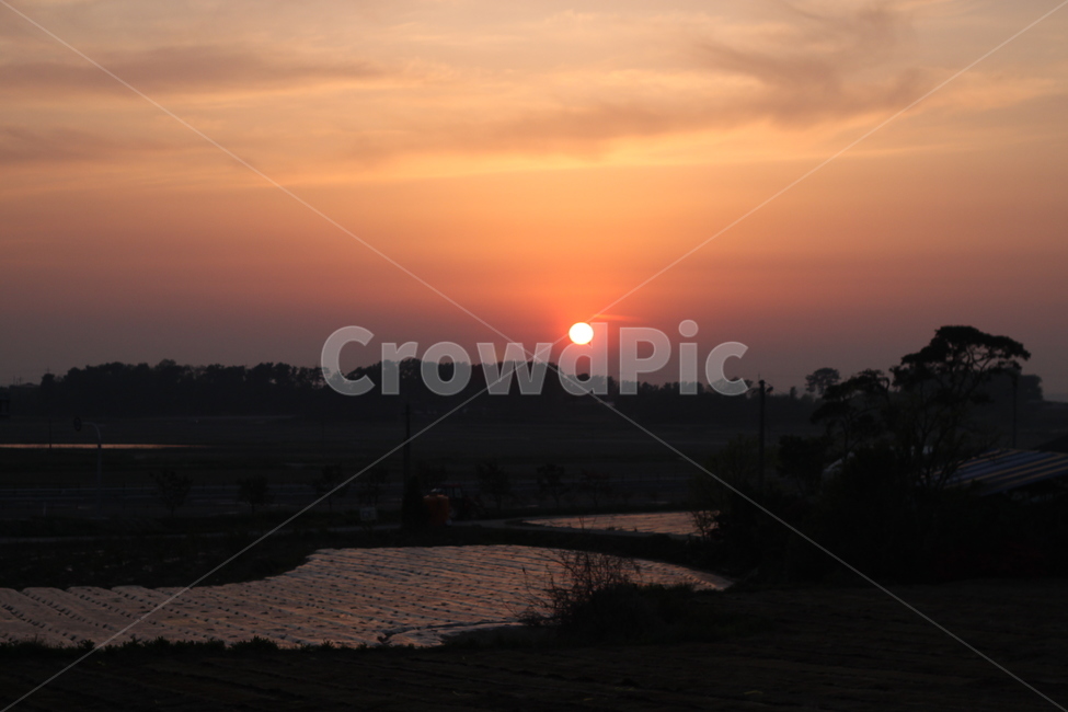 석양,논,밭,붉은노을,노을,시골풍경,자연,풍경,nature,landscape,outdoors,옥외,sunlight,햇빛,dusk,황혼,sunset,일몰,dawn,새벽,sky,하늘,red sky,붉은 하늘