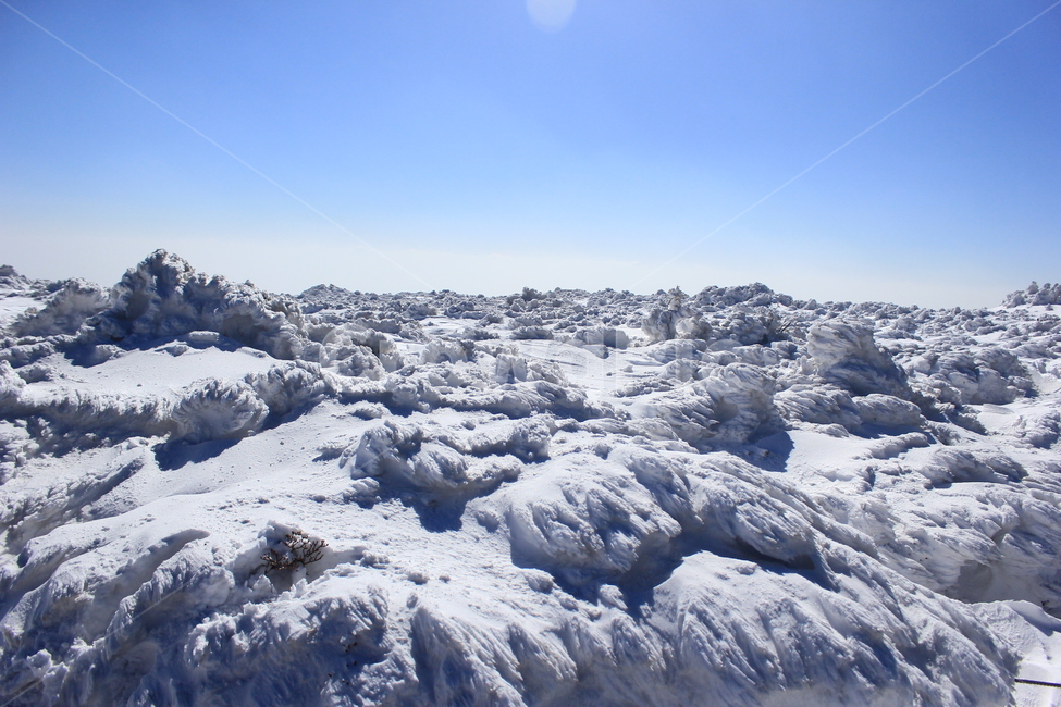 겨울한라산,한라산,제주한라산,겨울제주,눈,풍경,자연,겨울,계절,winter,season,자연,풍경,nature,landscape,mountain,산,outdoors,옥외,snow,glacier,빙하