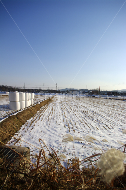 설경,겨울,winnter,계절,눈,하늘,전원,겨울,계절,winter,season,시골,마을,풍경,landscape,country,rural,town