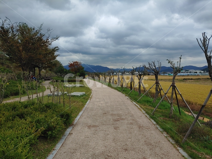 산책로,자연,산책,흐린날,흐림,구름낀날,산책길,길,날씨,weather,풍경,자연,풍경,nature,landscape