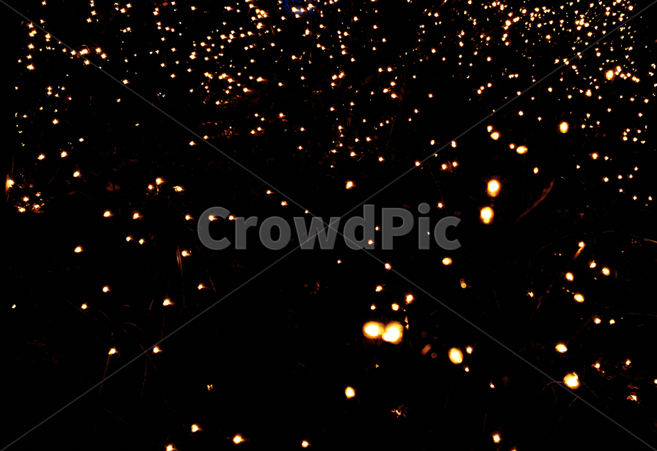 빛망울,빛,전구,반짝임,twinkle,glow,flash,light,야경,밤,풍경,nightscape,night,landscape