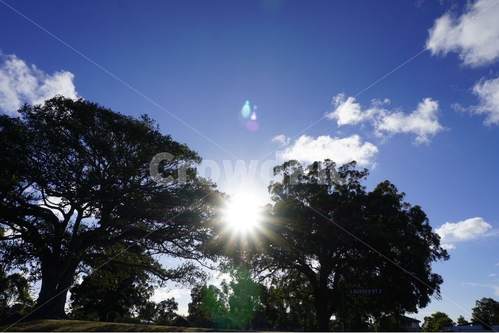 원본,자연,하늘,구름,여유,original,nature,sky,relaxation,cloud,자연,풍경,nature,landscape,식물,plants,나무,trees,wood,light,빛,flare,플레어